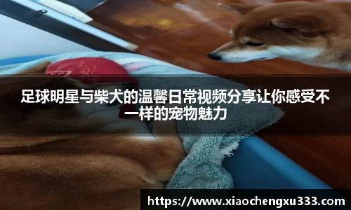 足球明星与柴犬的温馨日常视频分享让你感受不一样的宠物魅力